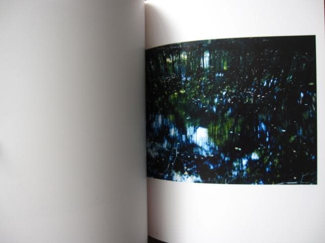 意識の流れ Stream of consciousness 鈴木理策 チラシ付き - メルカリ