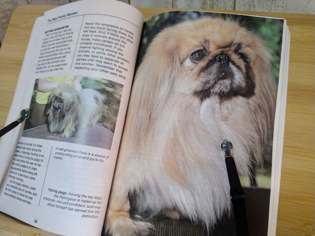 ペキニーズ書籍4冊セット 本 洋書 写真 pekingese PEKINGESE - メルカリ