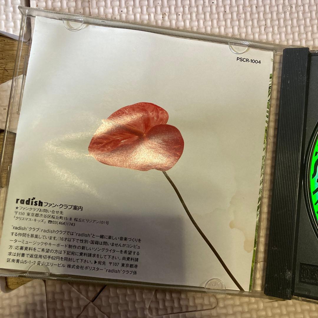 radish ラディッシュ CD「DIGITAL 16's」吉村龍太 遠藤友貴 - メルカリ