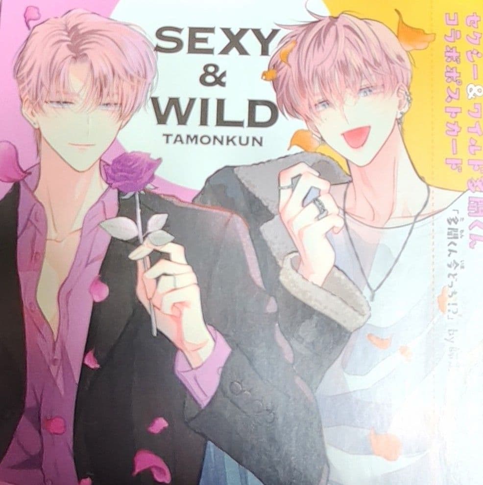 多聞くん今どっち 師走ゆき カード ポストカード 花とゆめ ブック