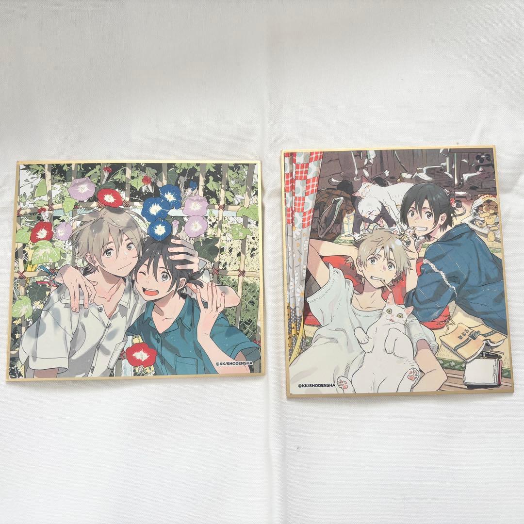 春風のエトランゼ 紀伊カンナ 色紙 - メルカリ