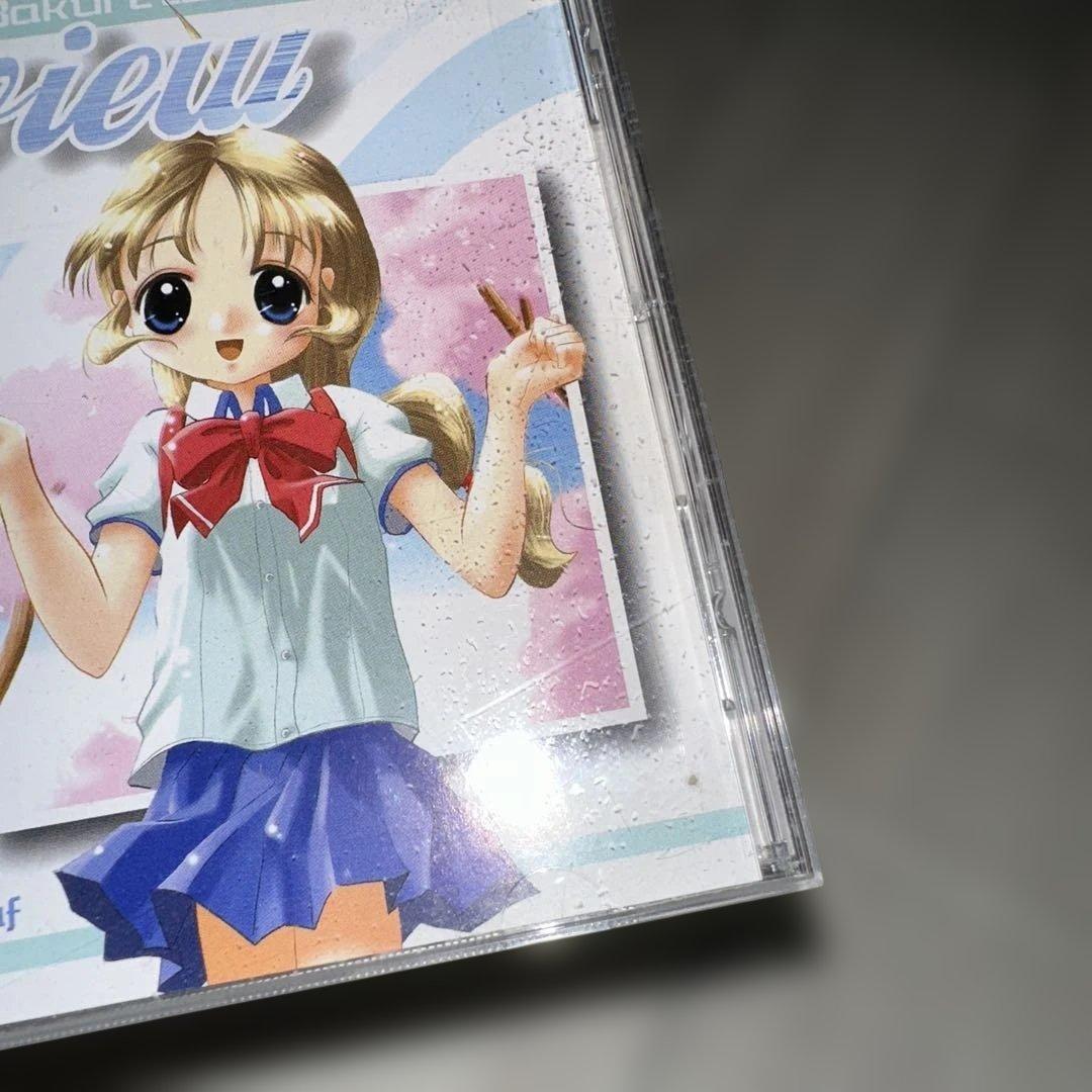 爆裂アレンジCD製作委員会 preview 東方 同人