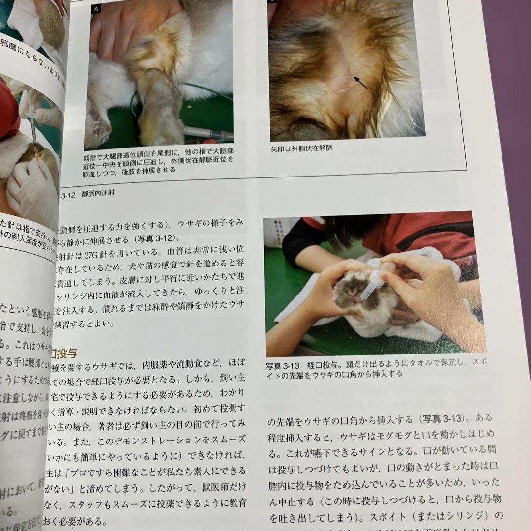 定価15400円　できる!!ウサギの診療　沖田将人　エデュワードプレス