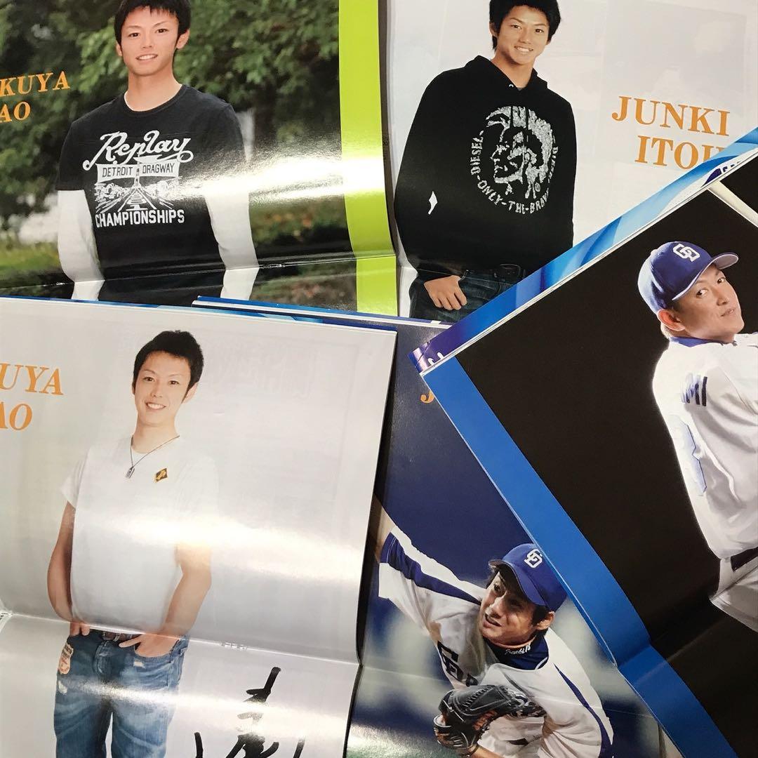 ♡ 中日ドラゴンズ 月刊Dragons 浅尾拓也 立浪和義 伊藤準規 15冊