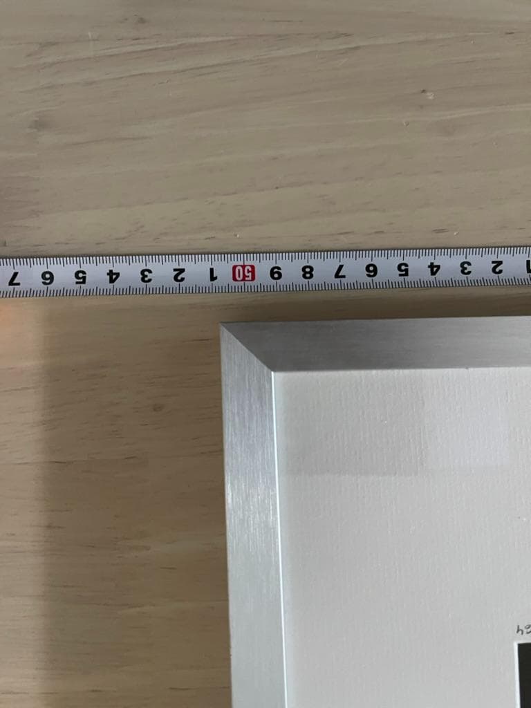 限定】イエローコーナー アート写真 ライオン ペドロ・ハルケ