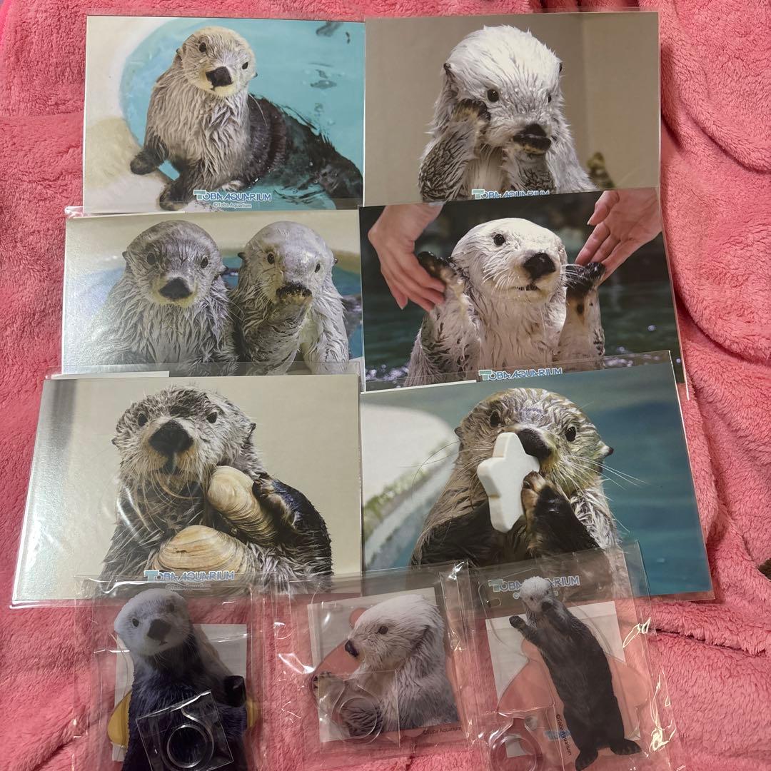 カプくじ 鳥羽水族館 ラッコのメイちゃんくじ リターンズ