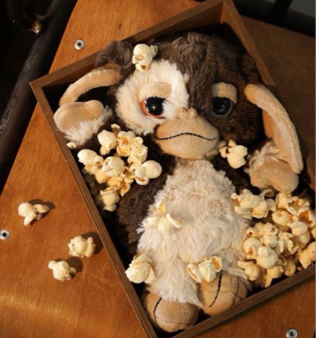 グレムリン　ギズモ　25センチ　ぬいぐるみ　No.922 グレムリン ギズモ ぬいぐるみ 全高約25cm 送料無料 : トイスタジアム