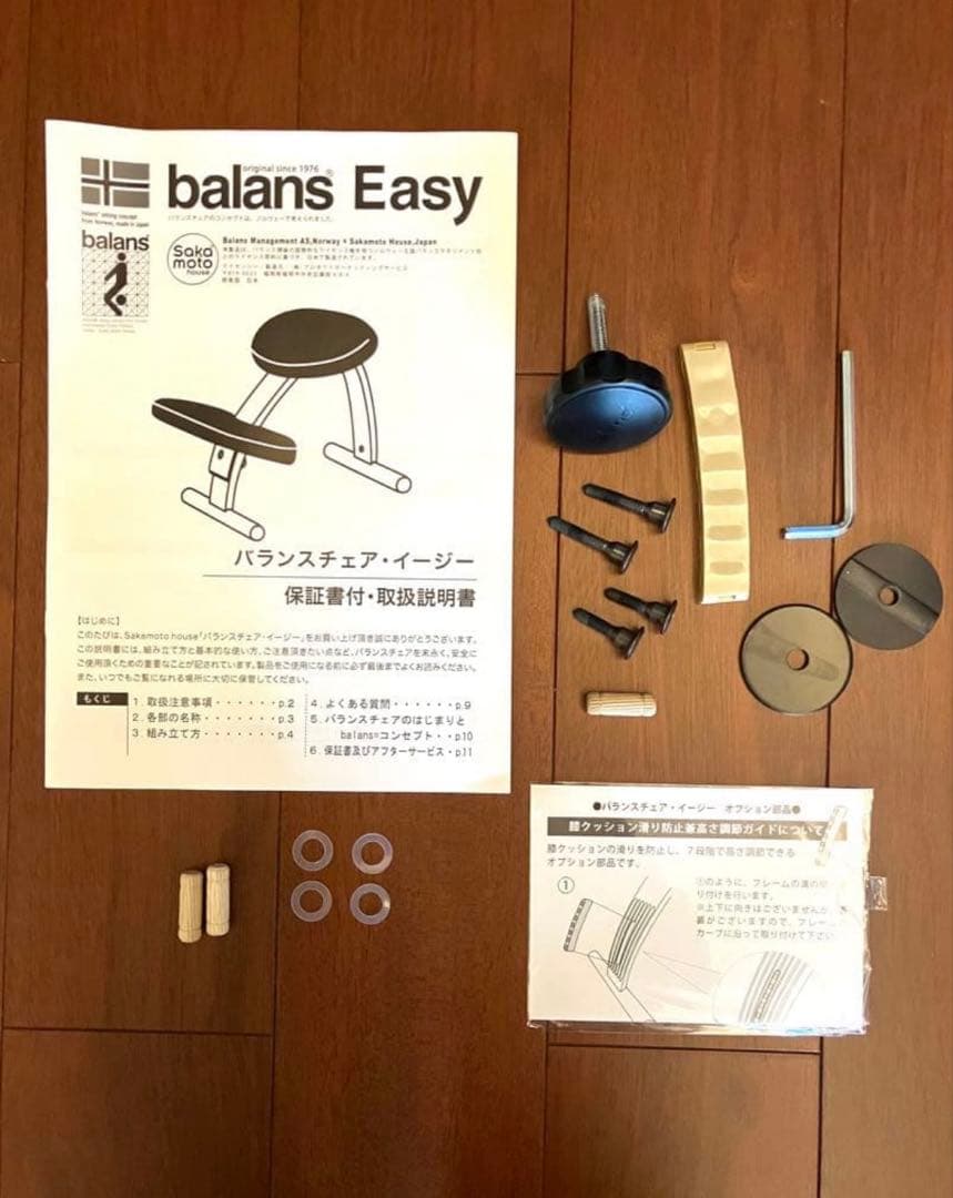 ニソエ様専用！バランスチェア イージー - メルカリ