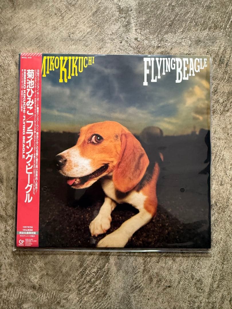 新品未使用 菊池ひみこ \"FLYING BEAGLE\" LP 菊池ひみこ / FLYING BEAGLE / LP | Record CD Online Shop JET SET