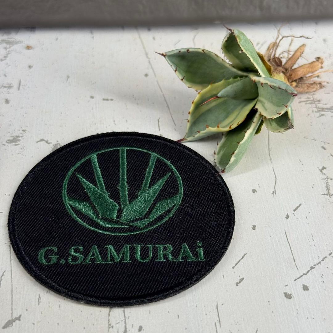 A*d様 【アガベ パリー“オリザバ”】最高コントラスト/明瞭斑入り/L-1