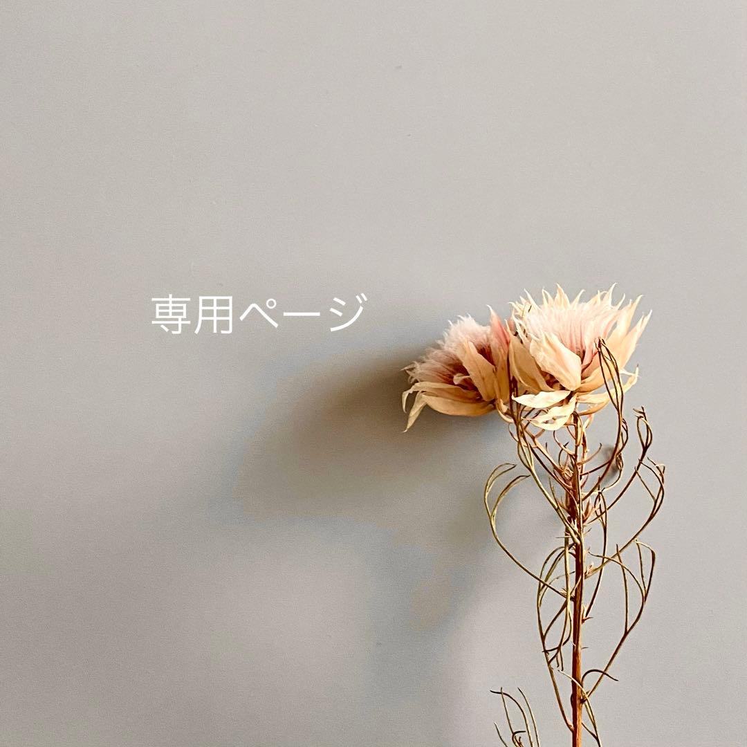 レオ様ꕤ*.゜ Zenith partners with Hodinkee for a limited edition Chronomaster