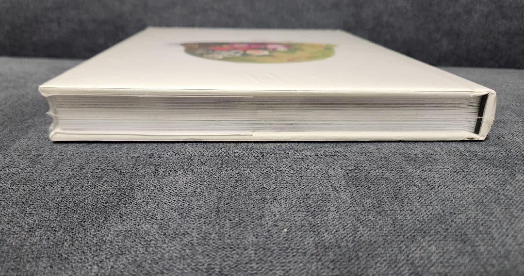 【未開封】fuct rizzoli Erik Brunetti ファクト art