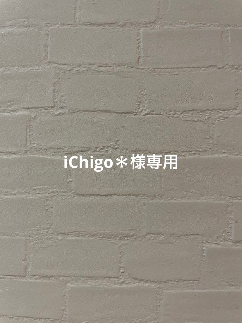 iChigo＊様おまとめ Anime Bleach Ichigo Kurosaki WM2567 Minifigures - Brixtoy