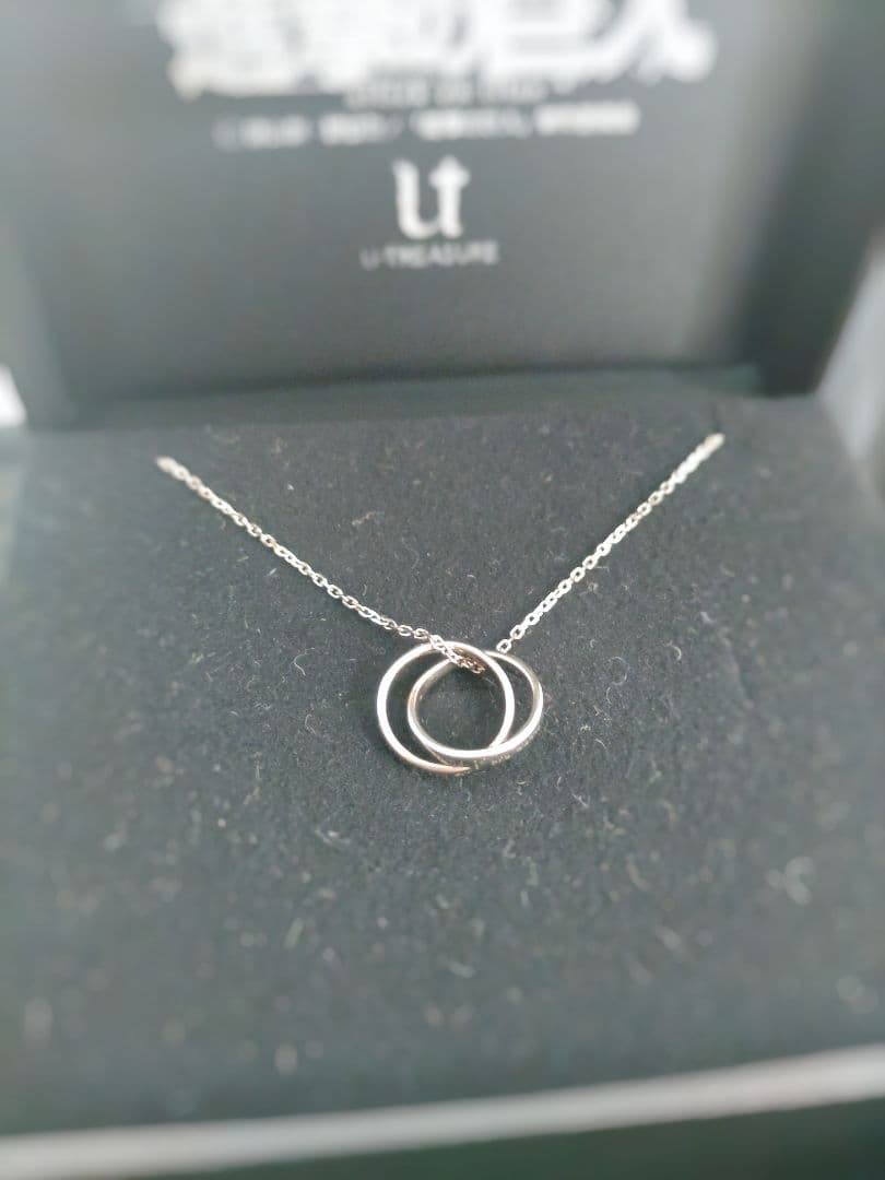 進撃の巨人 エルヴィン×リヴァイ ダブルリングペンダント【U-TREASURE