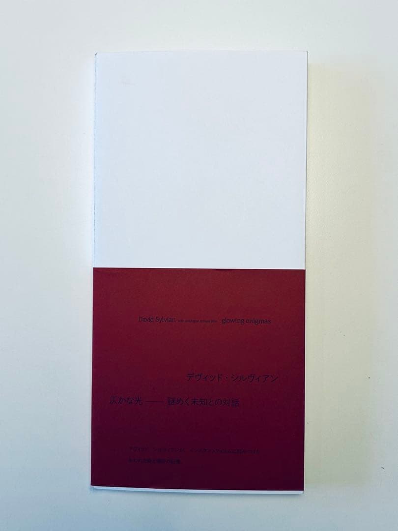 デヴィッド・シルヴィアン　ポラロイド写真集 Amazon.co.jp: DAVID SYLVIAN PHOTO BOOK LIKE PLANETS NUMBERED