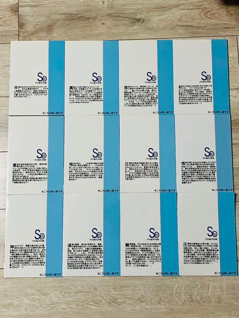 【希少】同人誌　その後のDB 真　DBAFTER 12冊セット　ヤングなおゆき