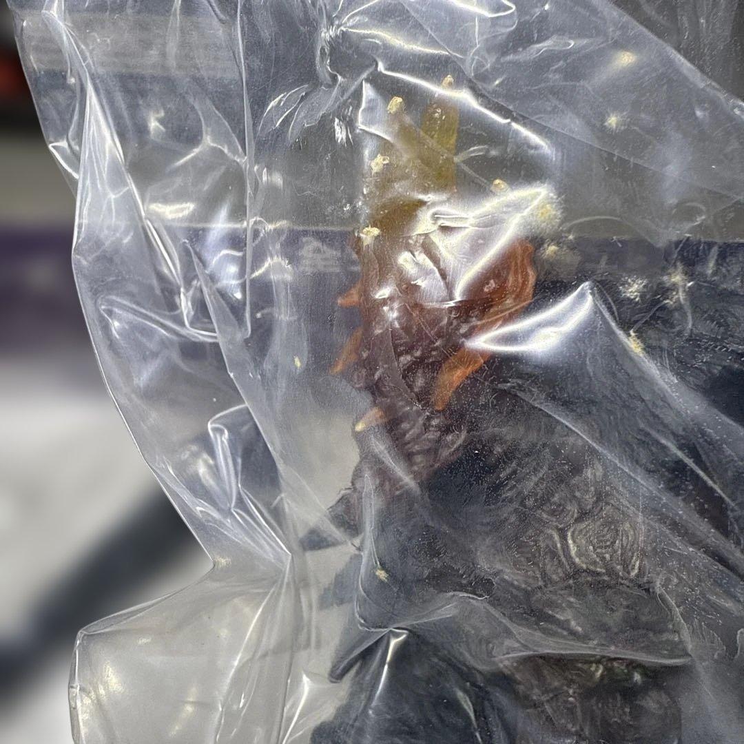 ガメラ3(GⅢ) バニシング・フィスト 「激造シリーズ -平成ガメラ編-」