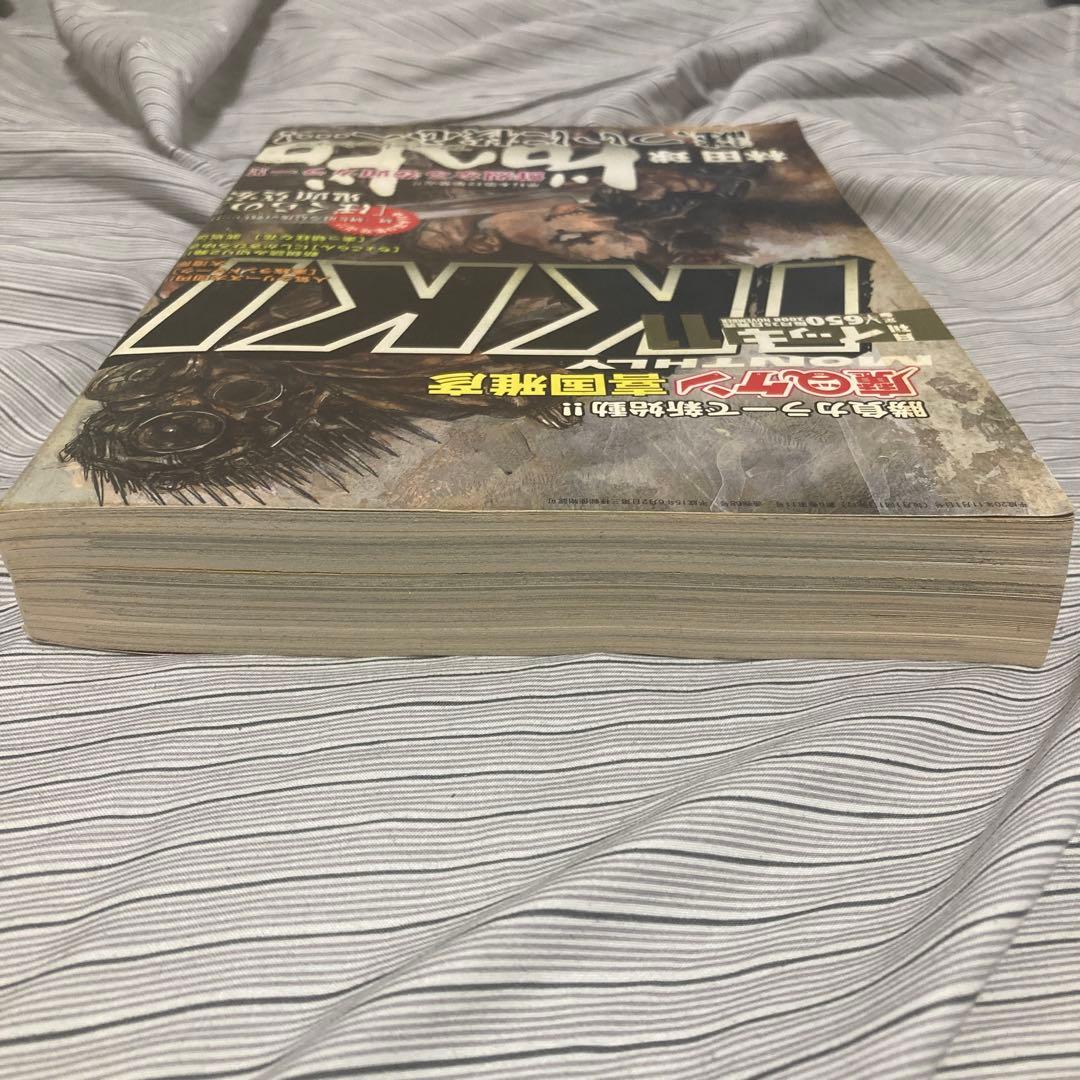 月刊IKKI 2008年11月号