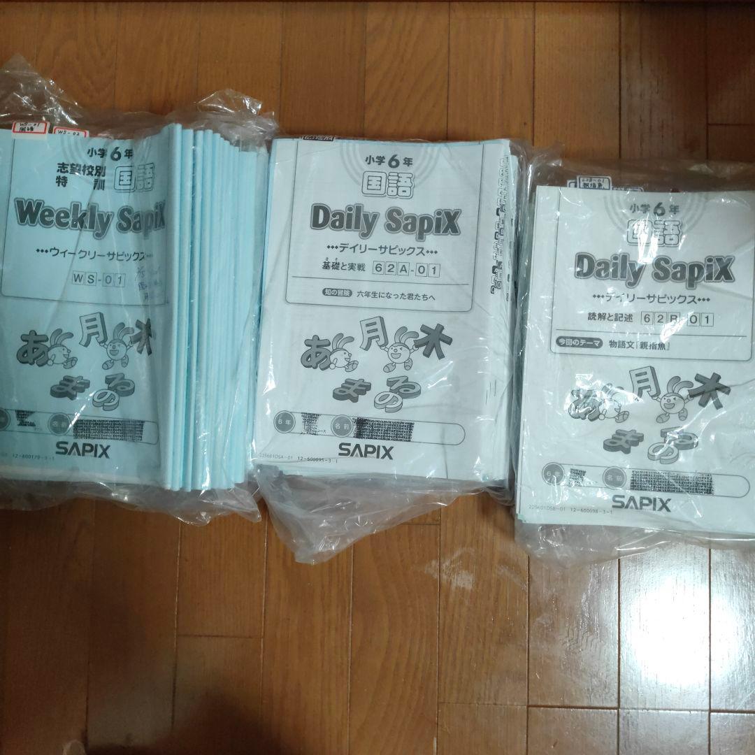 サピックス SAPIX 小学6年 国語 デイリー サマー ウィンター など