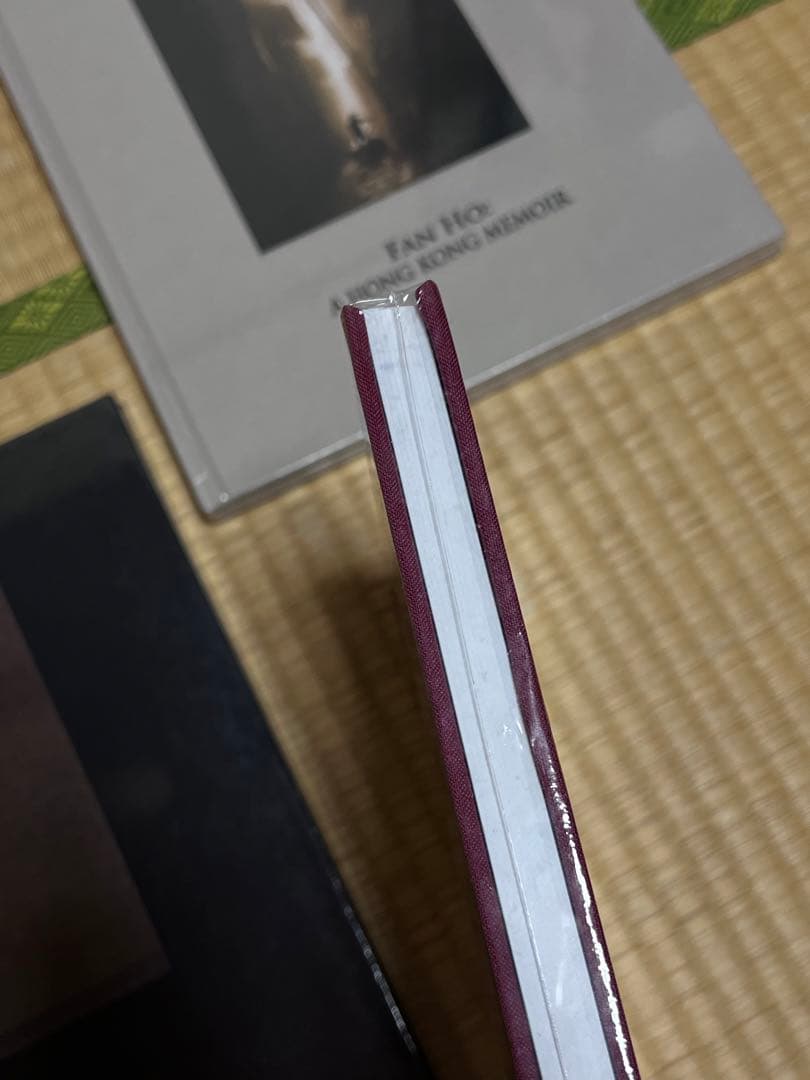 新品未開封 ファン・ホー Fan Ho 香港三部作 何藩 写真集 森山大道