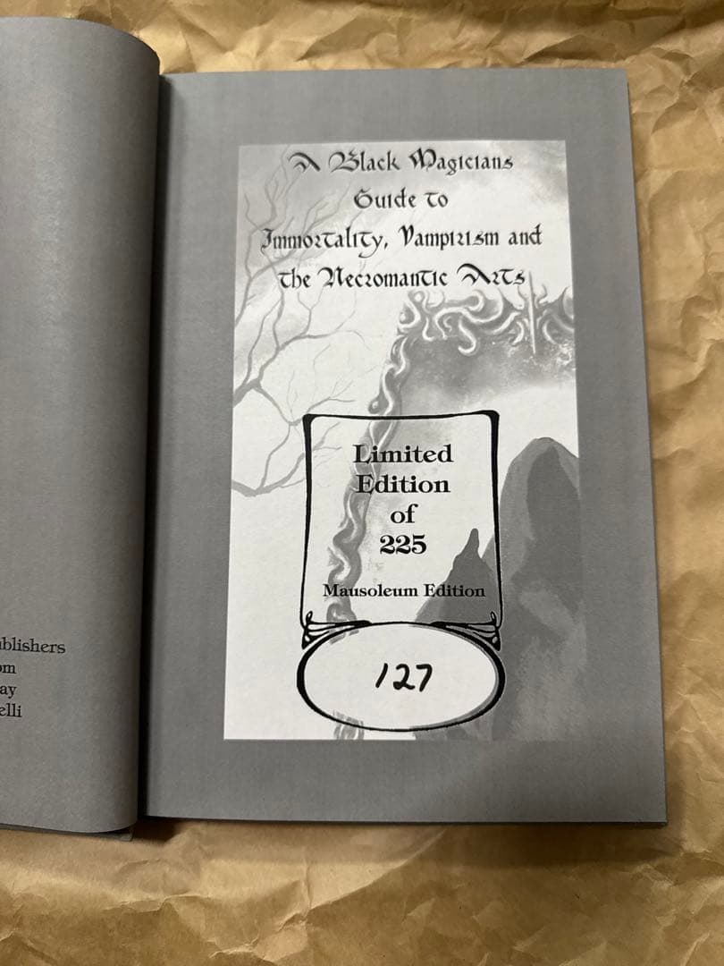 洋書 NOX INFERNUS The Book of Amber A. W.Dray