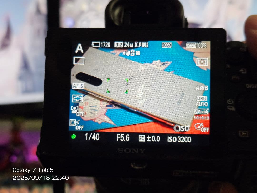 SONY FE 28-70mm F3.5-5.6 OSS SEL2870 動作品