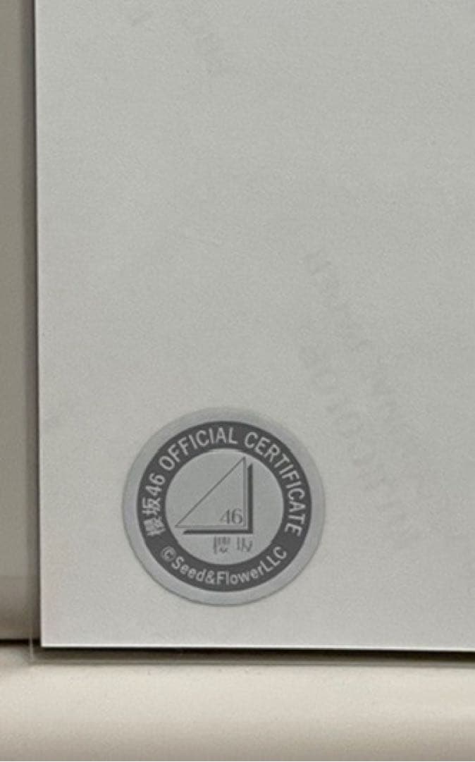 櫻坂46 遠藤光莉 サイン入り生写真・ヨリ (2024年クリスマスサンタ衣装