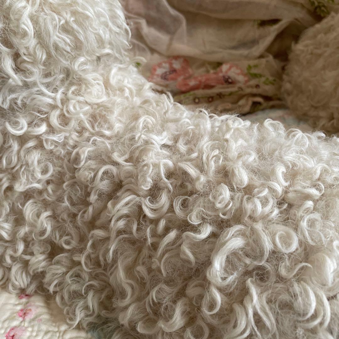 ⭐︎専用⭐︎パジャマドッグ LOULOU フランスアンティーク - メルカリ