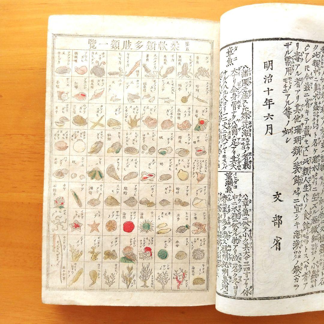 稀少【文部省編纂 博物図教授法 全】明治16年 - メルカリ