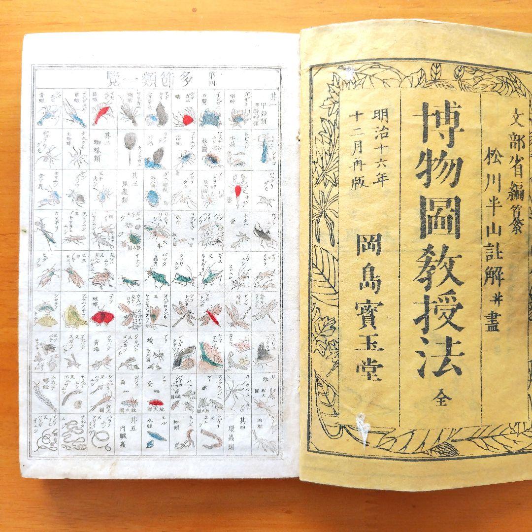 稀少【文部省編纂 博物図教授法 全】明治16年 - メルカリ