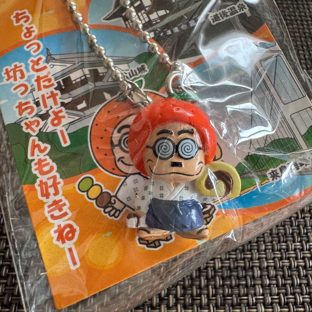 ご当地加トちゃん】 四国・地域限定 5個セット - メルカリ