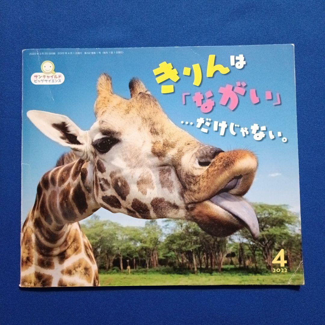 かがくのとも ビッグサイエンス キンダーブックしぜん きりんさんの