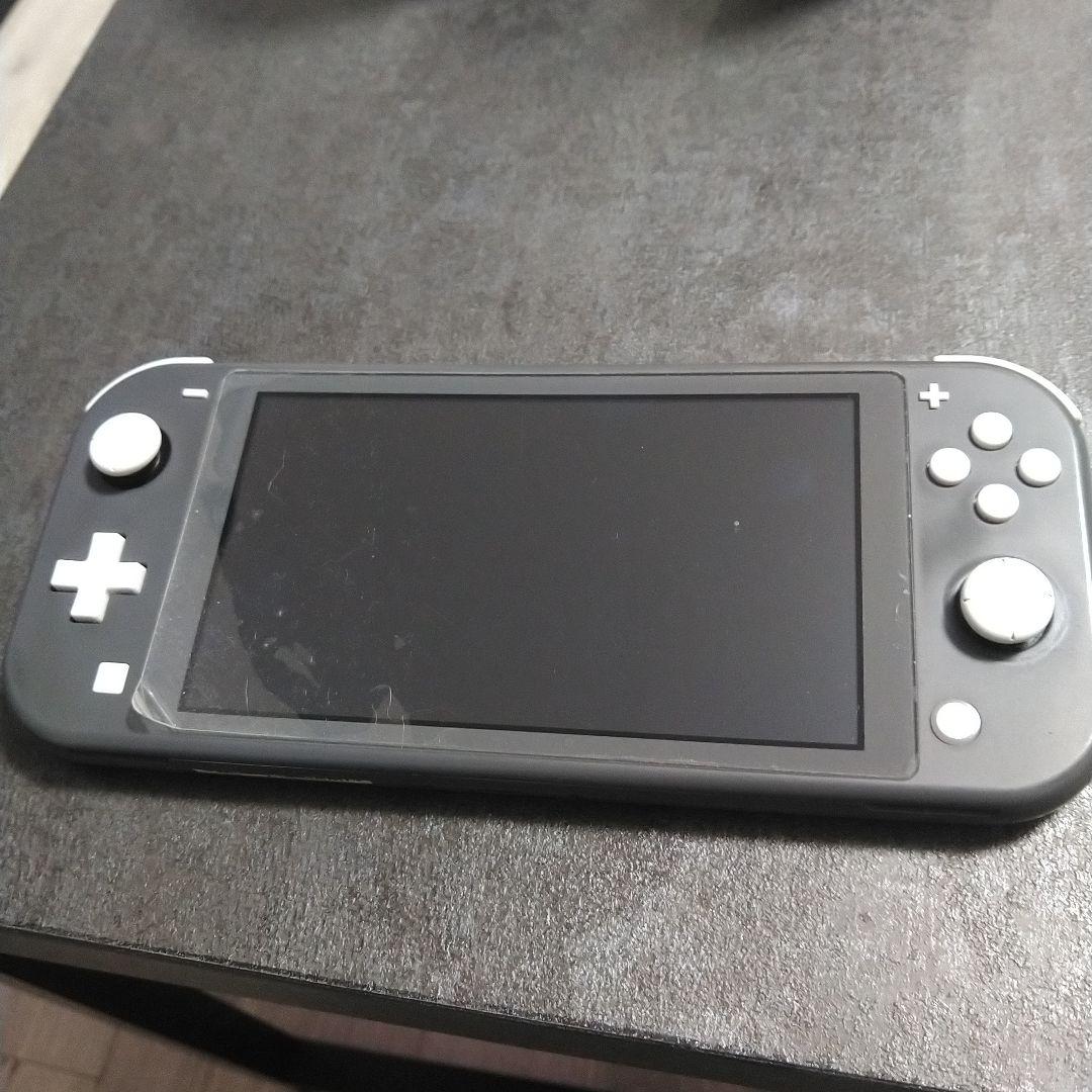 Nintendo Switch Lite グレー 本体　ジャンク品 Nintendo Switch Lite グレー ジャンク品｜Yahoo!フリマ（旧PayPayフリマ）