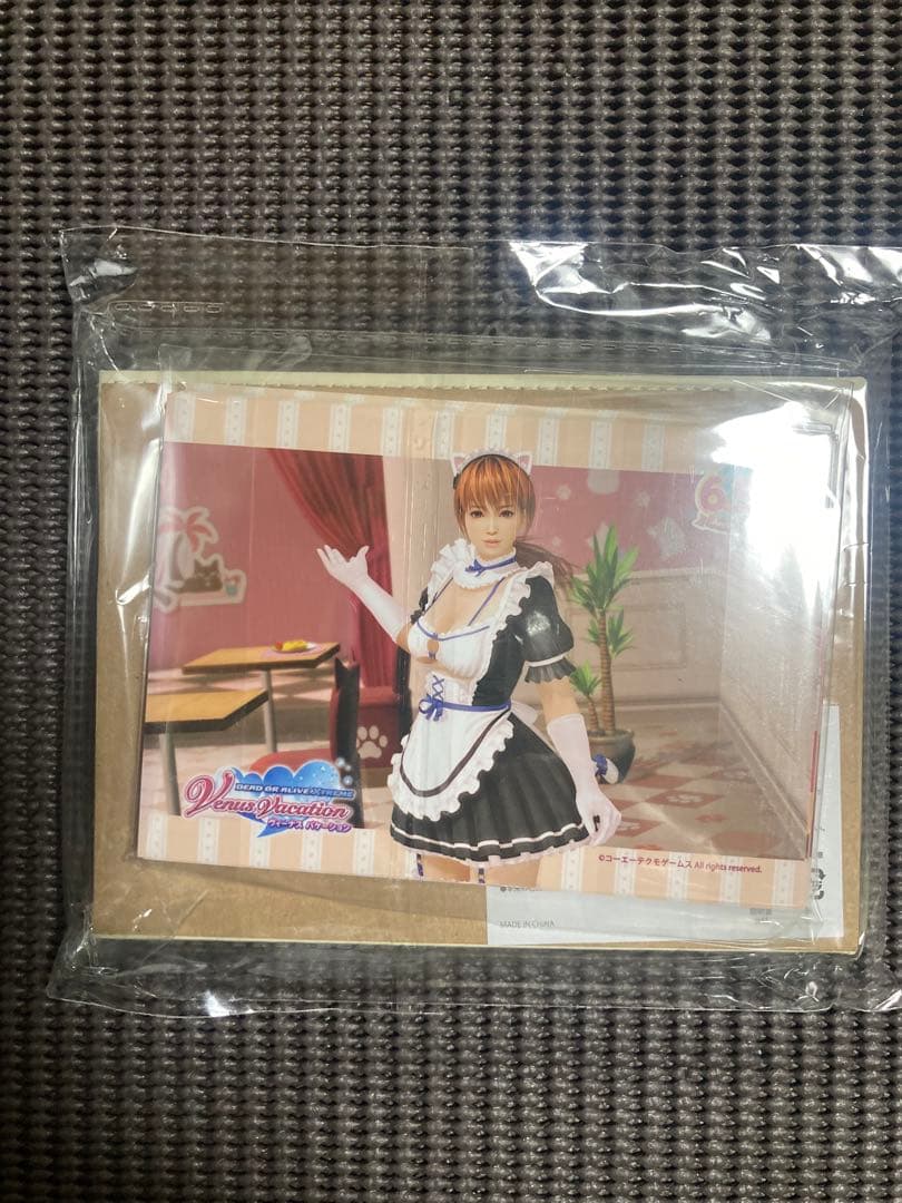 DOAXVV レザー風ブロマイドフレーム＋ヴィーナスブロマイド　限定品 DOAXVV レザー風ブロマイドフレーム＋ヴィーナスブロマイド 限定品