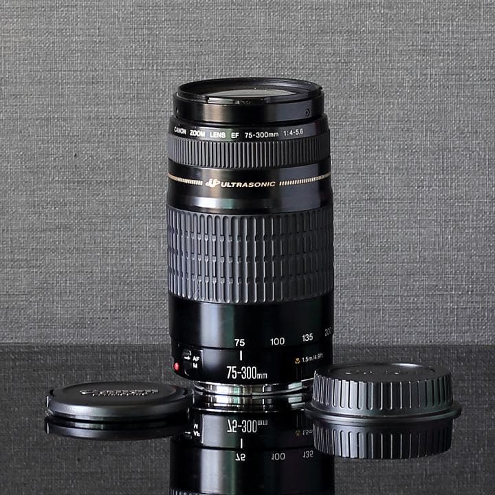 美品CANON純正定番望遠レンズEF75-300mm f/4-5:6 USM搭載