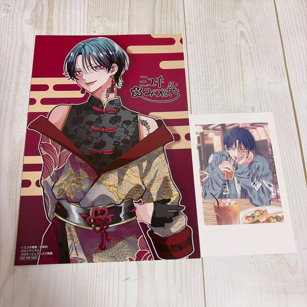 春の嵐とモンスター 9巻 メロンブックス 特典 イラストカード ミユキ