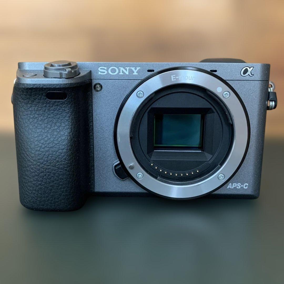 ム*イ様 SONY α6000 グラファイト　BODY SONY α6000 ILCE-6000 ボディ [グラファイトグレー] 価格比較 - 価格.com