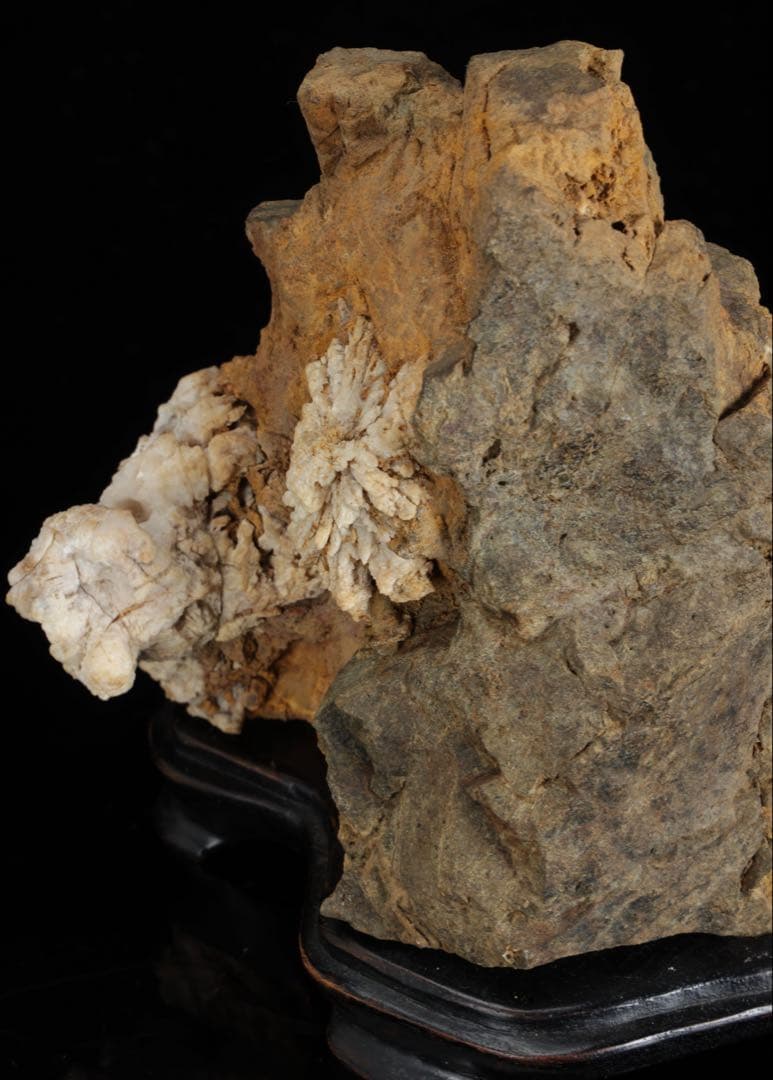 は*よ様 根尾川 菊花石 白菊 紋石 台座 共箱付 1.2kg 鑑賞石 原石 盆