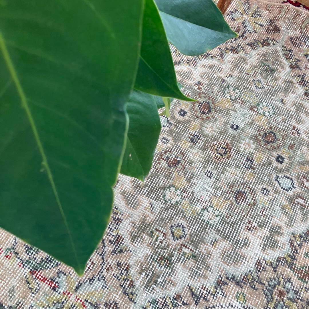 キャラメルベージュ89×84グレー メダリオン ラウンド トルコ