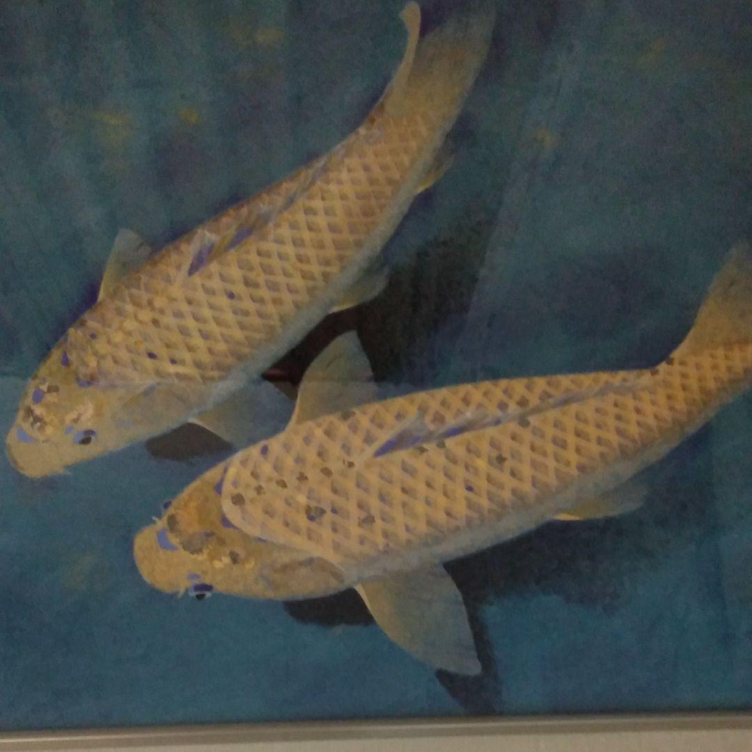 利倉群青 鯉 肉筆 F10 - メルカリ