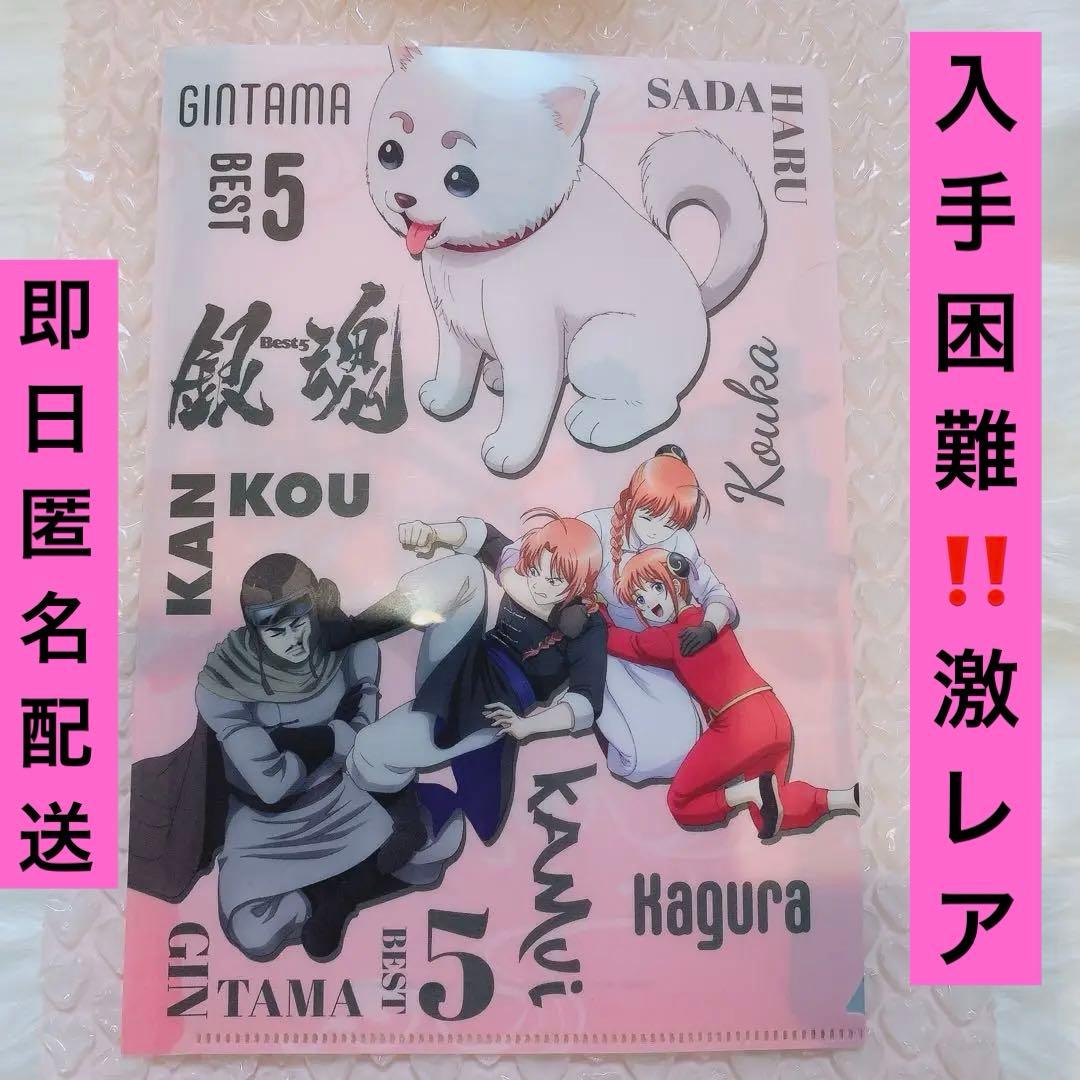 入手困難新品未開封 銀魂後祭り特典ファイル 夜兎家族 神威 神楽 江華