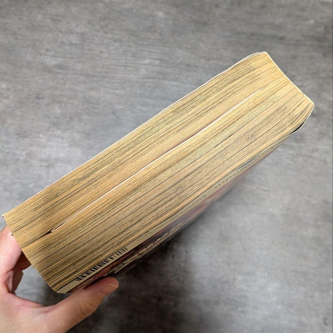 コミックブレイド 【付録付き】 2002年 4月号 まもって守護月天 桜野