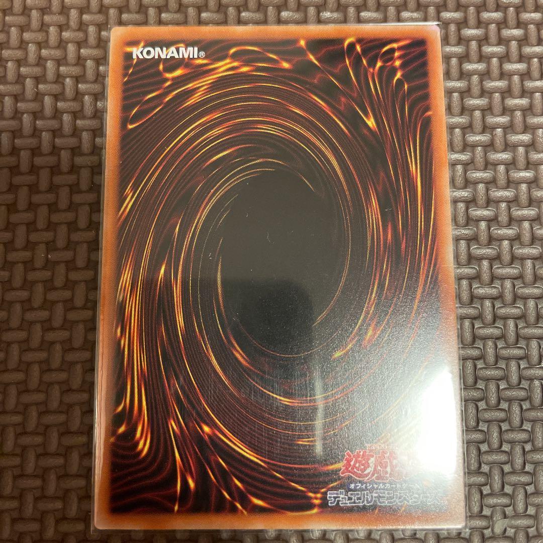 完美品級】ブラックフェザー・ドラゴン プリシク - メルカリ