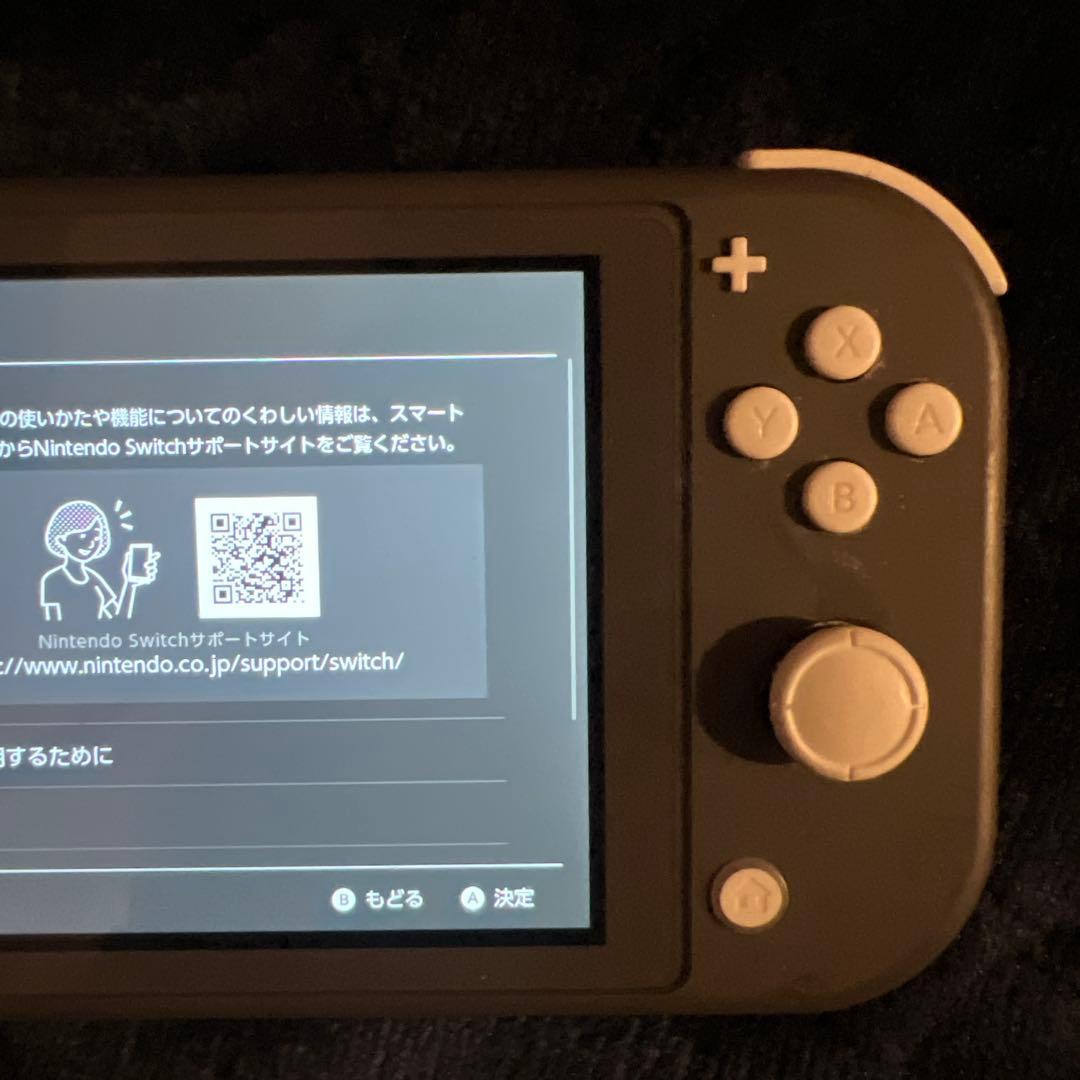 ジャンク】Nintendo Switch Lite 本体&専用充電器 - メルカリ