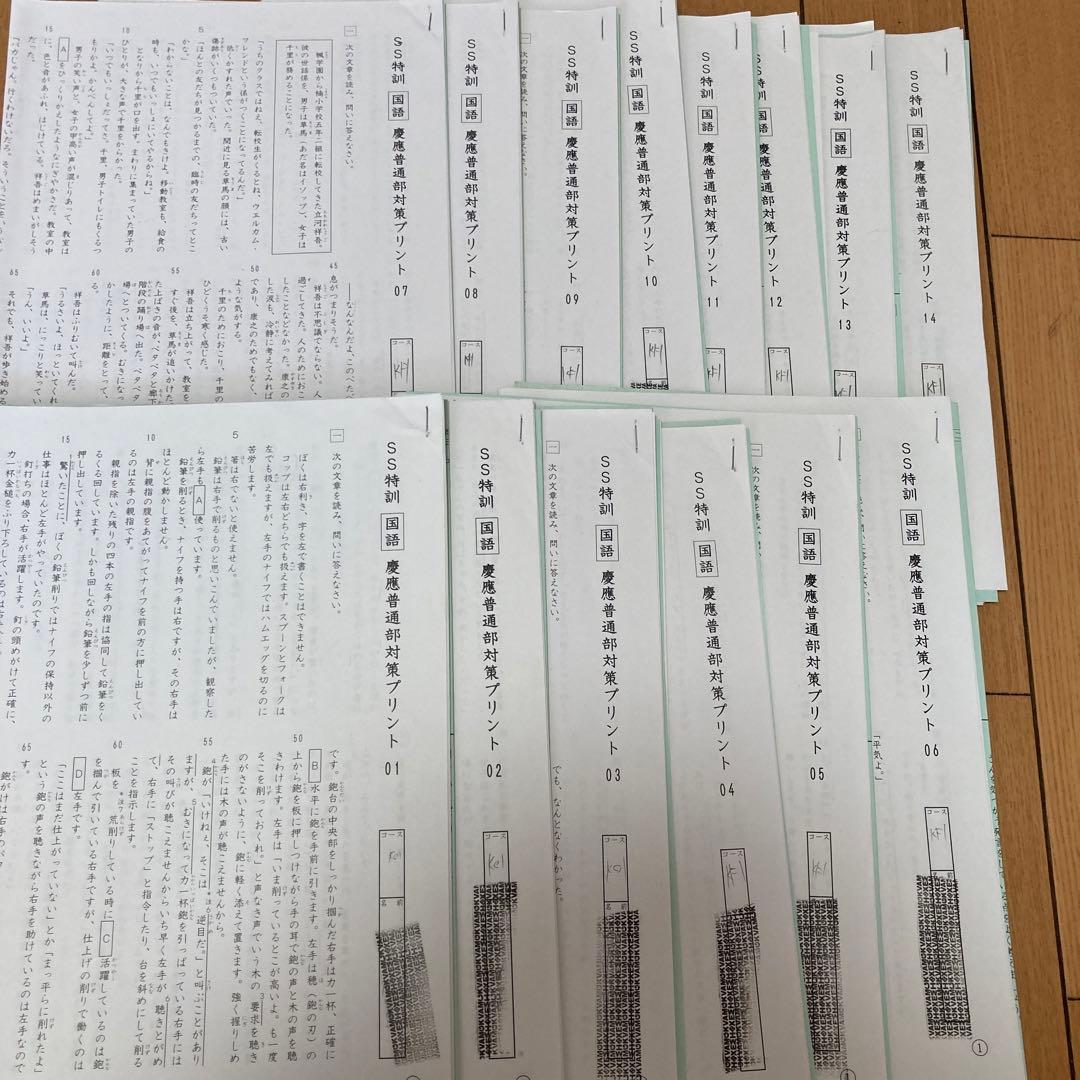 サピックス 国語 志望校別特訓教材 慶應普通部対策