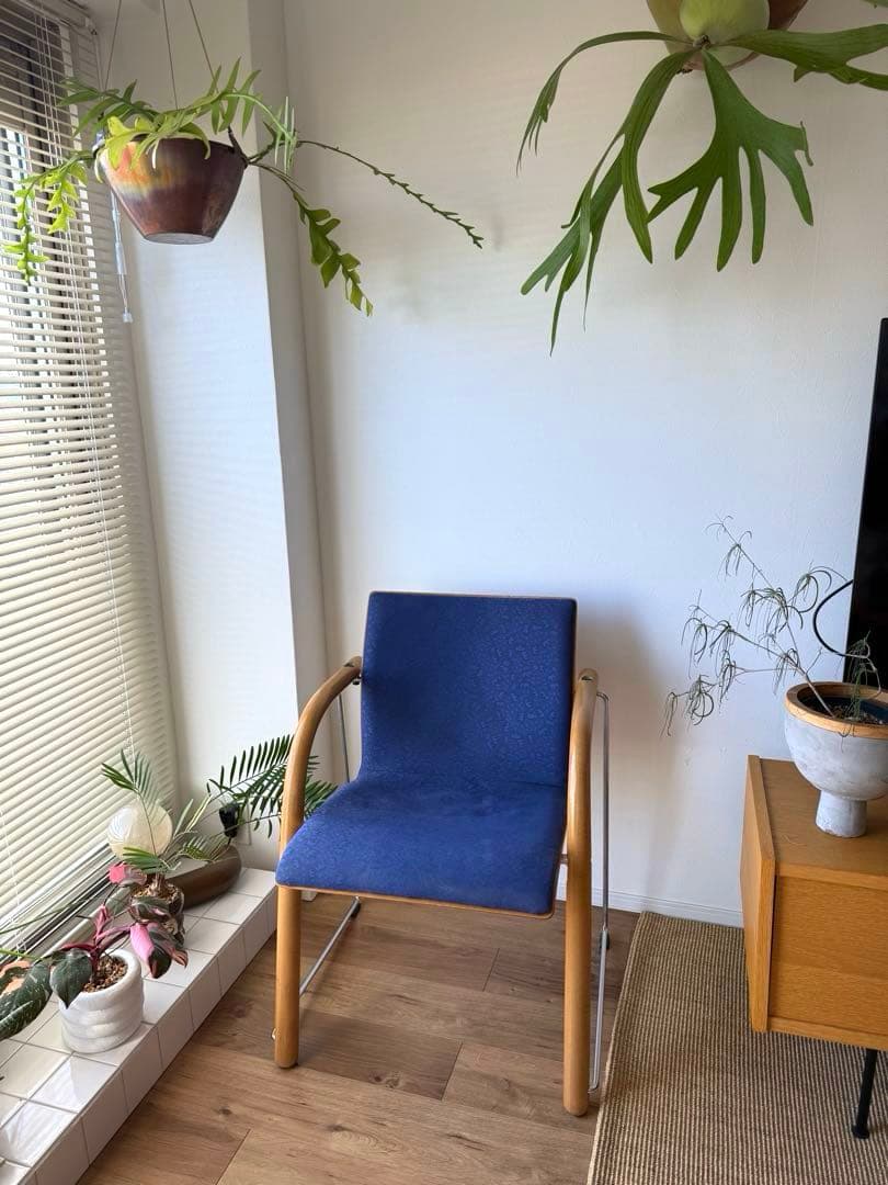 ダイニングチェア vintage thonet chair Antique Thonet Chair | August Haven