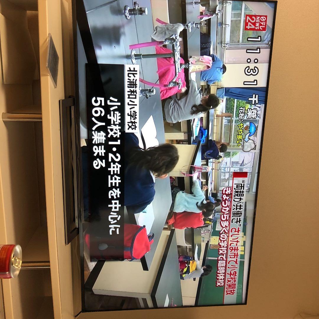 65型テレビ  TOSHIBA 楽天市場】REGZA 65の通販