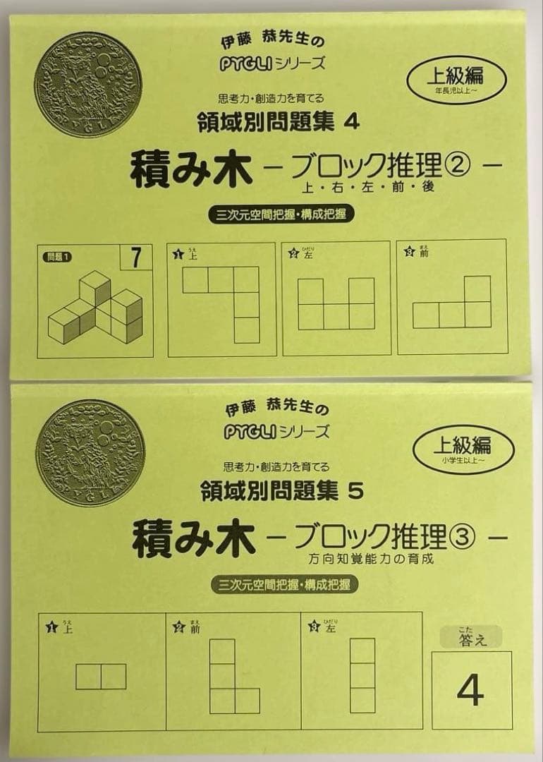 ピグリシリーズ ピグマリオン 積み木 2冊セット - メルカリ
