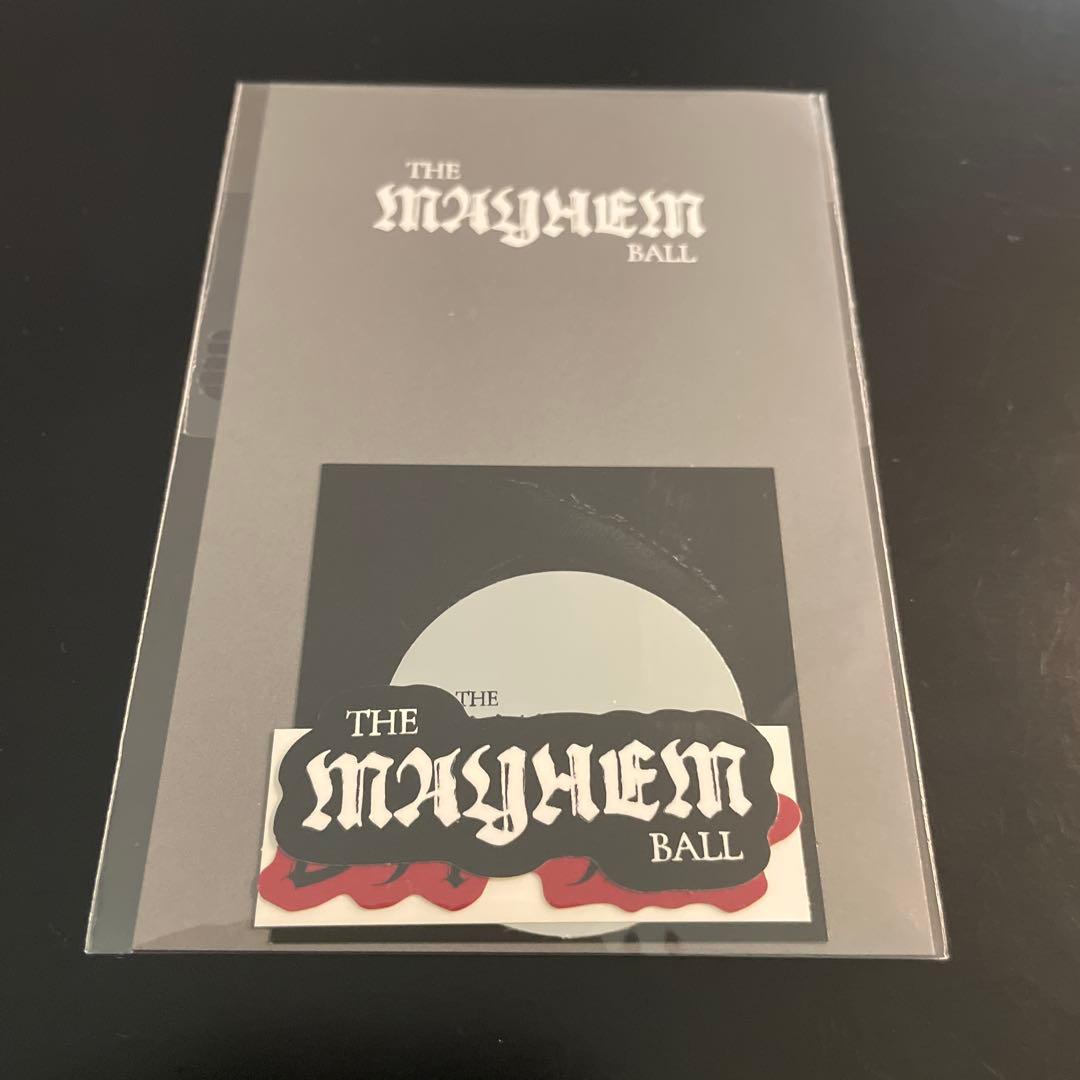 レディー・ガガ2026 VIP SILVER 限定グッズ＋トートバッグ - メルカリ