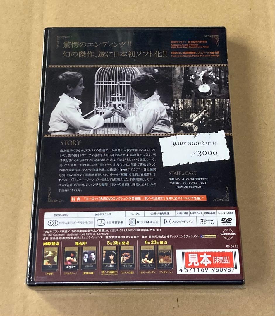 ふくろうの河　廃盤DVD 未開封品　見本版